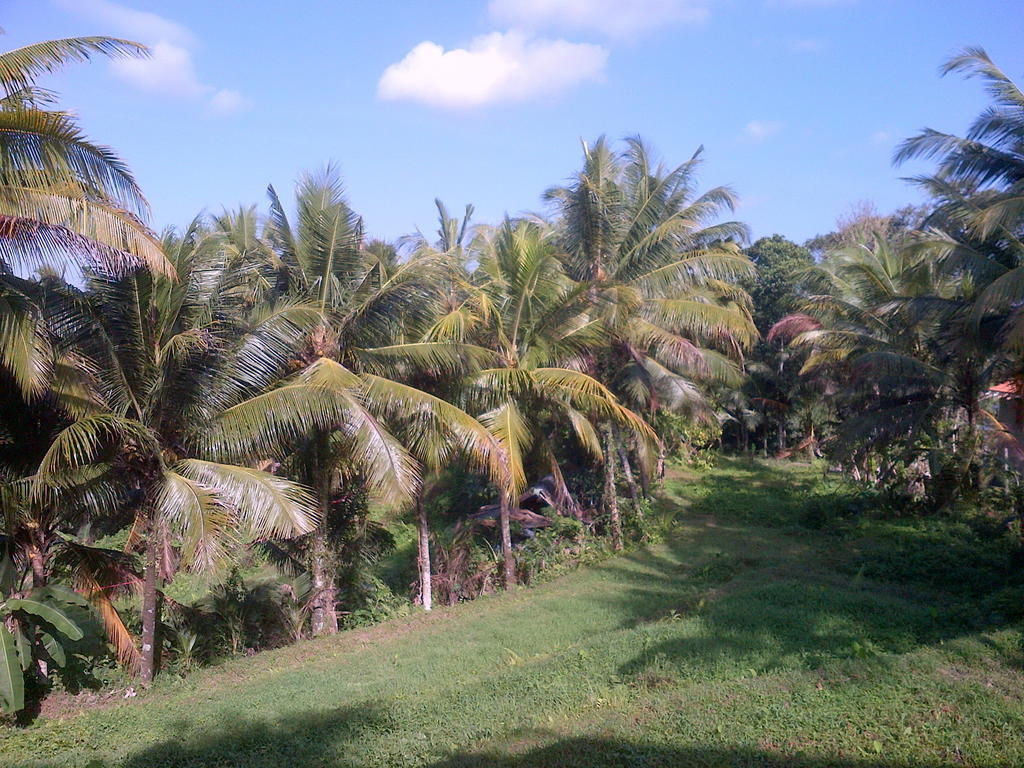 Dewa House Bisma Hotell Ubud Exteriör bild