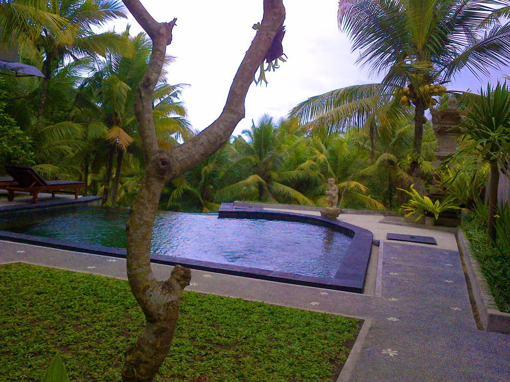 Dewa House Bisma Hotell Ubud Exteriör bild
