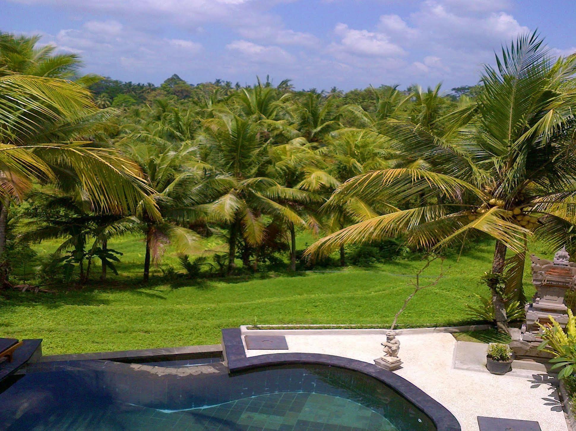 Dewa House Bisma Hotell Ubud Exteriör bild